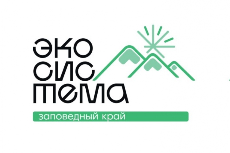 Фото из открытых источников.