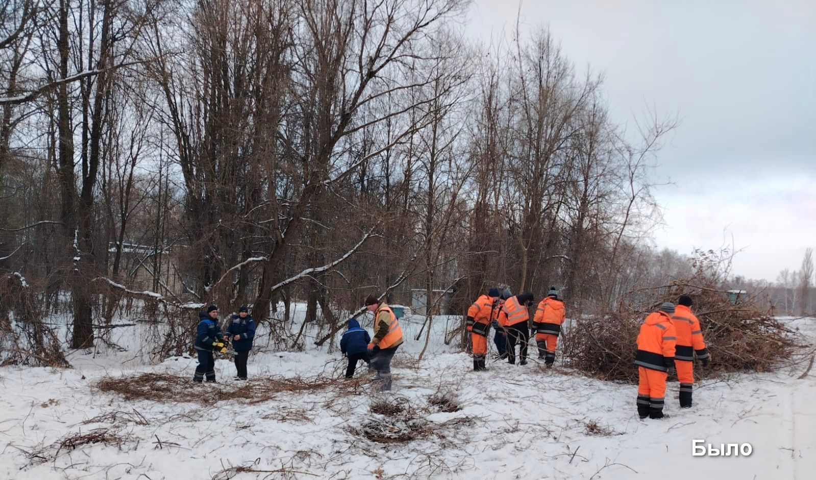 На Парковой ведутся работы по вырезке поросли деревьев и кустарников.