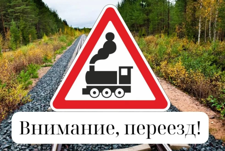 Фото из открытых источников.