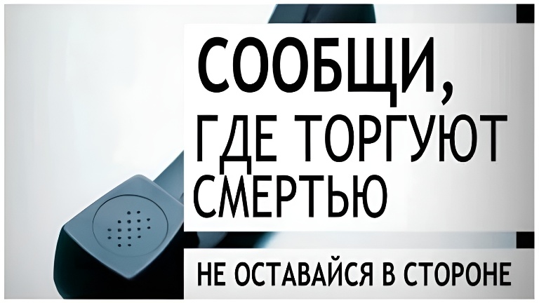 Фото из открытых источников.