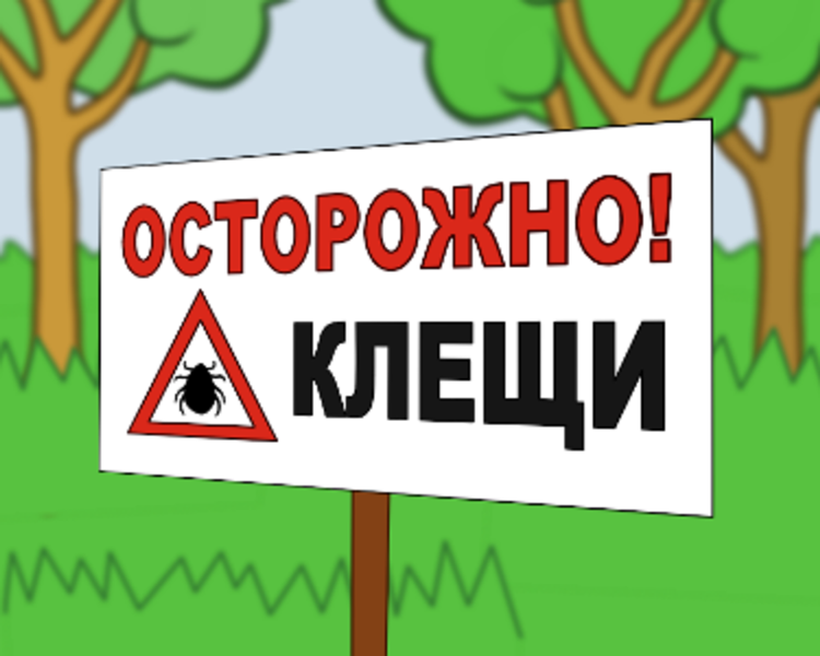 Болезнь Лайма, клещевой боррелиоз.