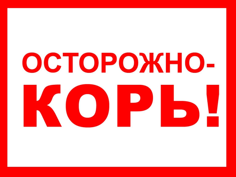 В Российской Федерации отмечается рост заболеваемости корью.