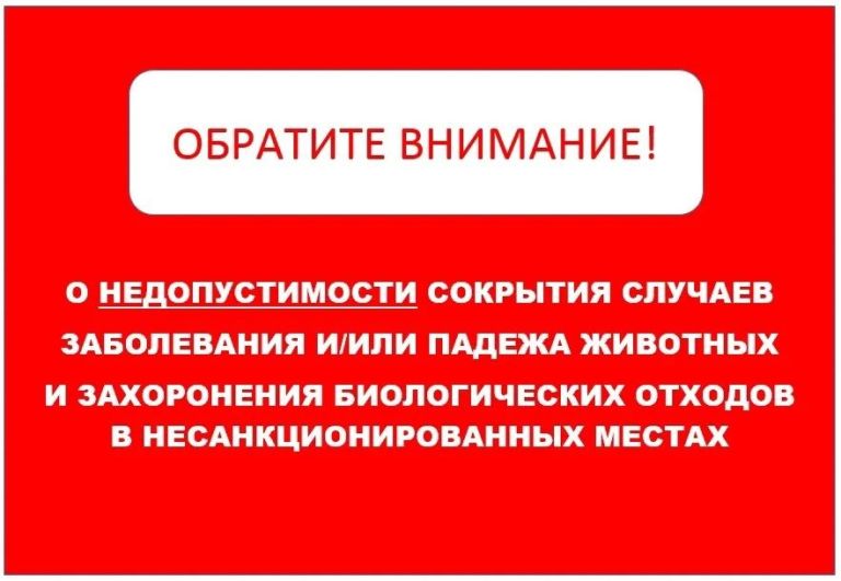 Фото из открытых источников.