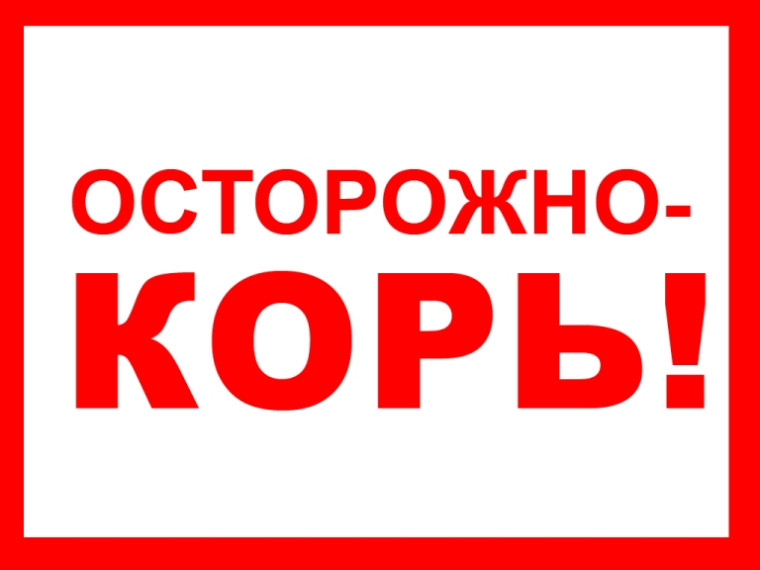 В Российской Федерации отмечается рост заболеваемости корью. В Российской Федерации отмечается рост заболеваемости корью.