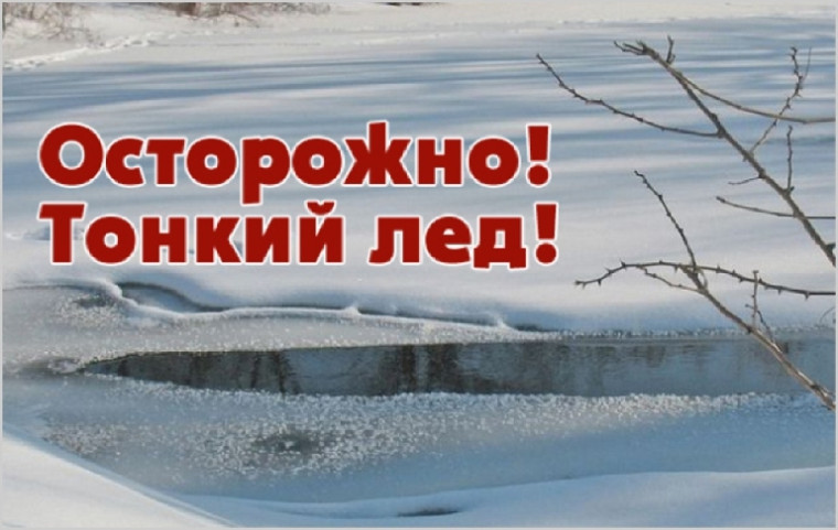 Фото из открытых источников. Фото из открытых источников.