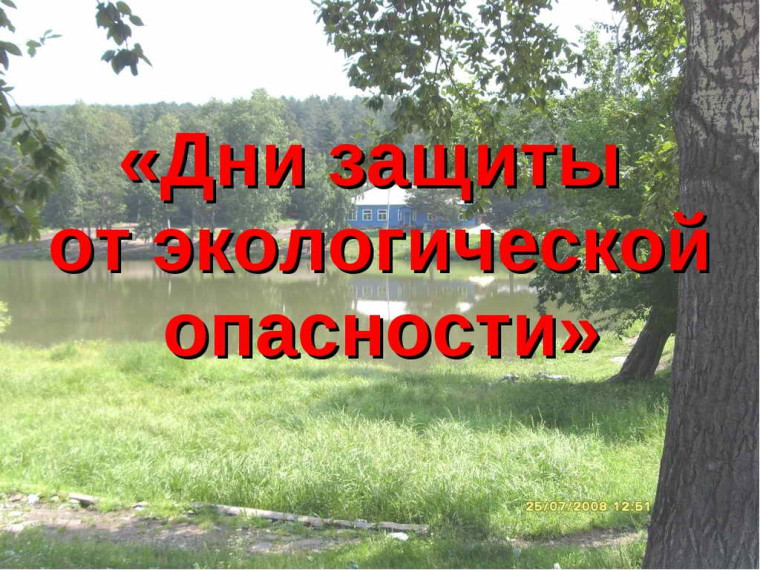 Фото из открытых источников. Фото из открытых источников.