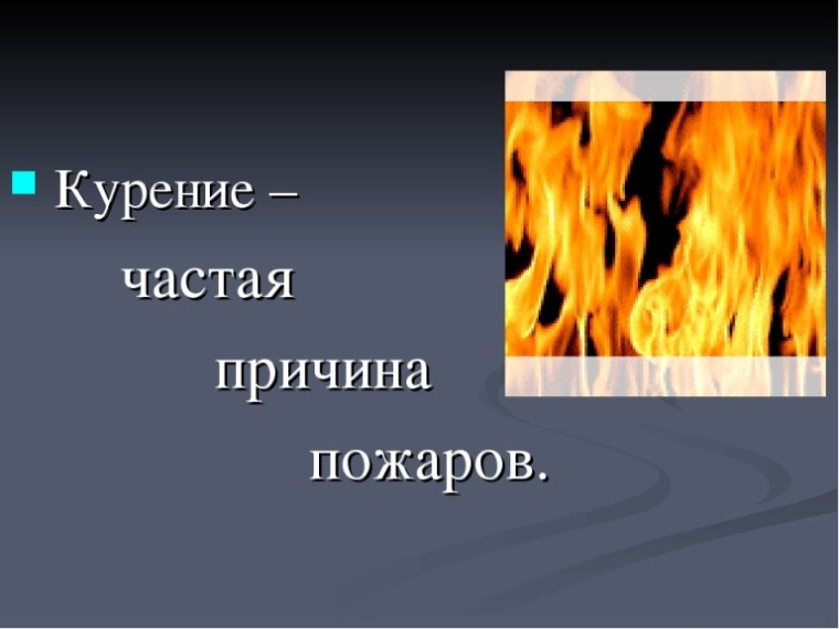 Фото из открытых источников. Фото из открытых источников.